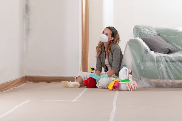 Reliable Mold Remediation contractor in Little Ferry, NJ by WQB Mold Removal